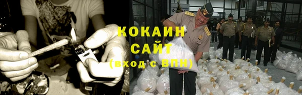 эйфоретик Дмитриев