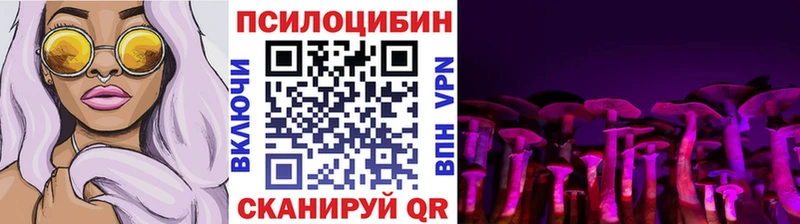 Купить  Починок  Галлюциногенные грибы Magic Shrooms 